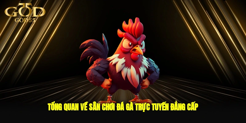 Tổng quan về sân chơi đá gà trực tuyến đẳng cấp